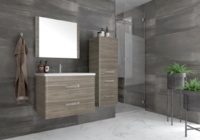 Комплект мебели для ванной комнаты Style line Лотос 60 подвесная Шелк зебрано PLUS